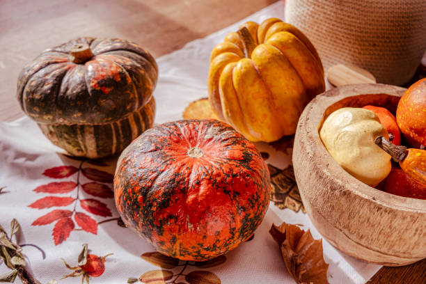 vibrações de outono com abóboras coloridas e abóboras em uma mesa - squash pumpkin orange japanese fall foliage - fotografias e filmes do acervo