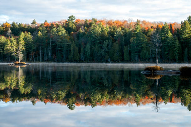 istock An autumn colored forest reflects on a calm lake. 1435900920