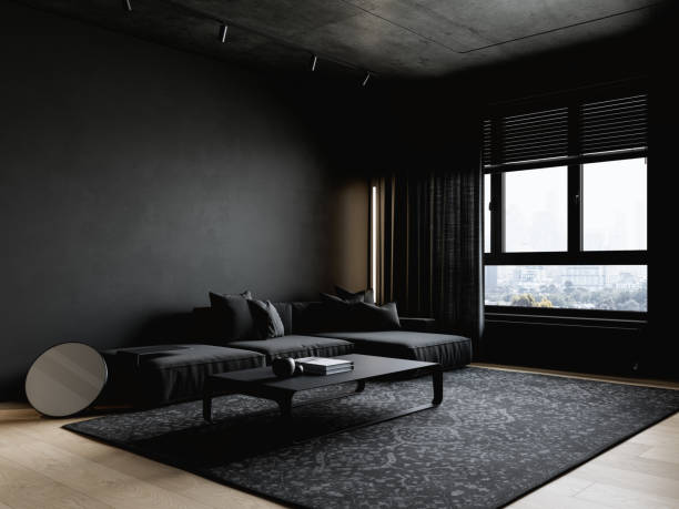 istock Black contemporary minimalist interior with sofa, carpet, lamp and decor. 3d render illustration mockup. 1435903118