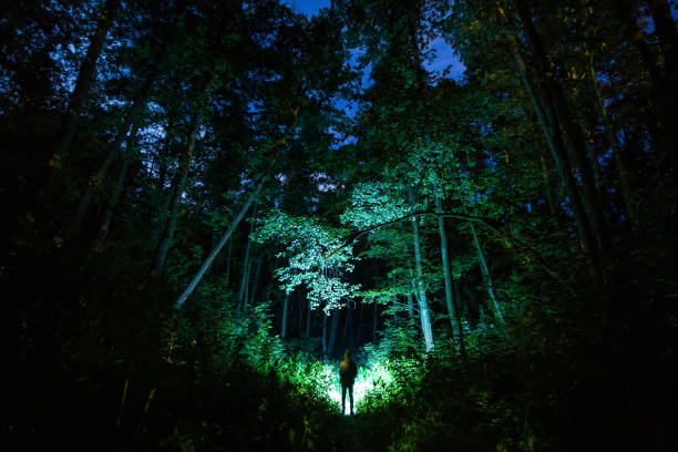 Silhouette in dark forest. Night photography. Man with flashlight