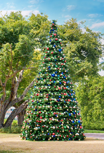 Street Christmas tree in Miami,USA