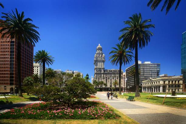 beautiful cityscape of montevideo, uruguay - montevidéu imagens e fotografias de stock