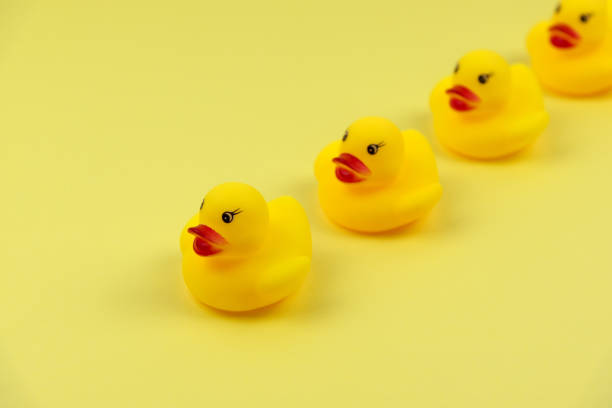 istock Four yellow duck in row on yellow background 1435913176