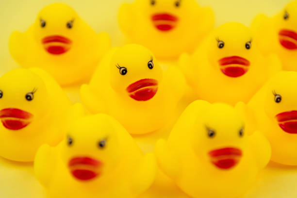 istock Selective focus of yellow rubber duck 1435913209