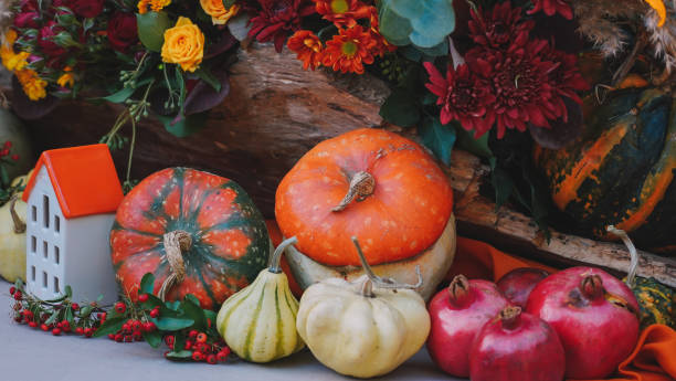 istock Pumpkins Backdrop. Halloween Pumpkins. Autumn colors 1435915583