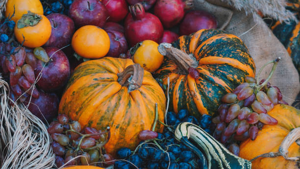 istock Pumpkins Backdrop. Halloween Pumpkins. Autumn colors 1435916220