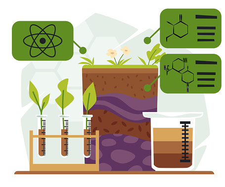 Soil Graphical Abstract Soil Analysis Infographic Flat Vector Illustration Isolated On White ...
