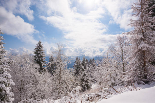 istock Winter landscape with snow from Asiago upland 1435919966