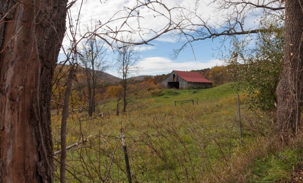istock Abandoned Shack in Bedford 1435923395