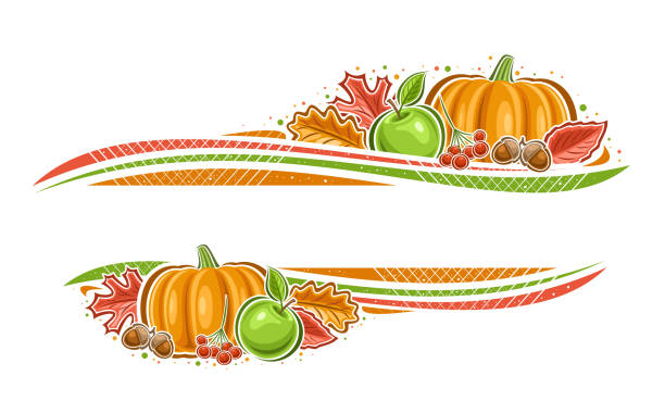 추수 감사절을위한 벡터 테두리 - white backgrounds thanksgiving pumpkin stock illustrations