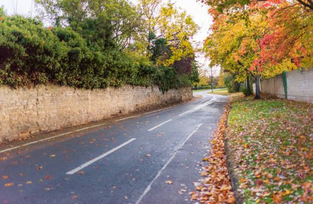 autumn road landscape biddenham bedford