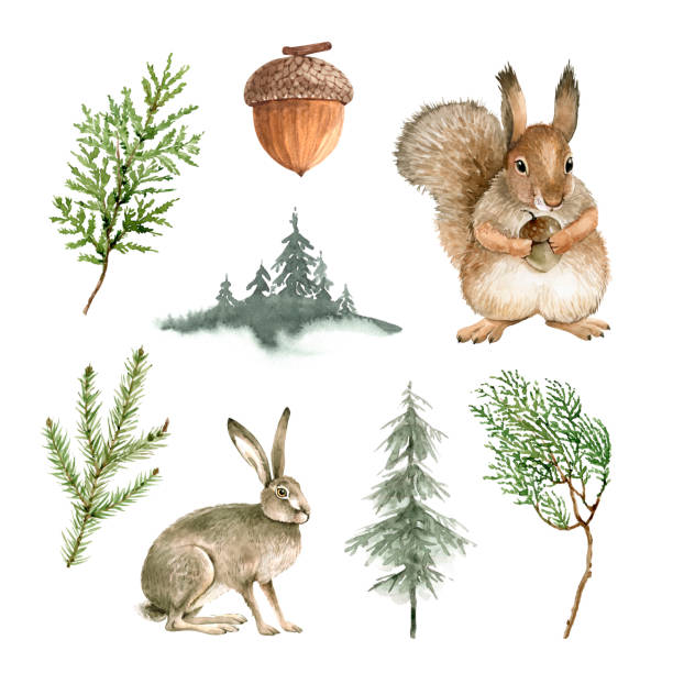 watercolor set with forest animals, nature and plants. watercolor set with forest animals, nature and plants. nature clipart stock illustrations