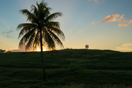 Silhouette of two lovers on a hill during a sunset