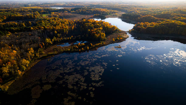 istock Autumn landscape with colorful leaf from aerial view 1435935880