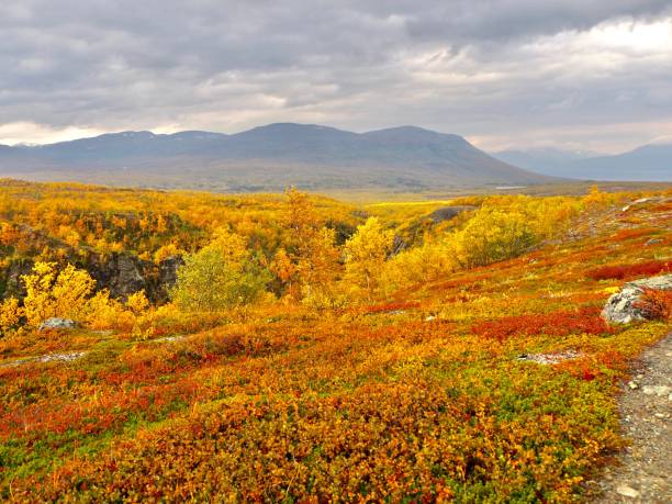 istock Mountain view during the fall season in Swedish Lapland 1435936186