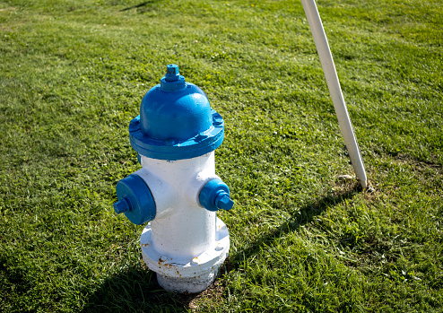 Fire hydrant in a green field, growth lawn meadow outside, water