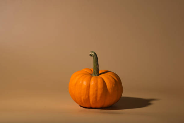 istock small ripe decorative orange pumpkin on a dark background 1435938944