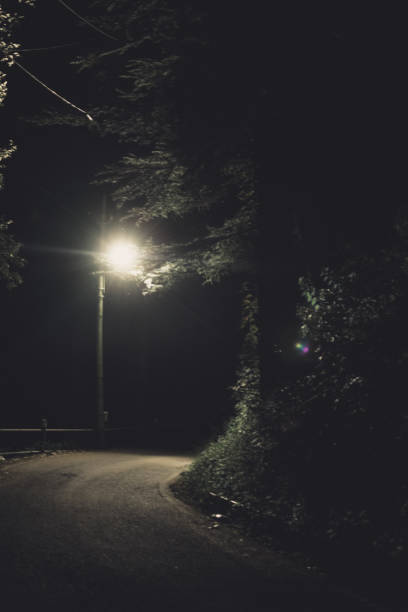 istock Empty Road during with Street Lamp in the Forest 1435943958