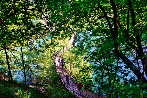 An aerial shot of a wooden walk path in Plitvice lakes national park