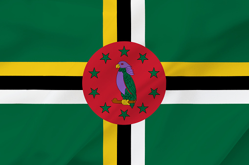 Dominica flag on waving silk background. Dominica national flag.