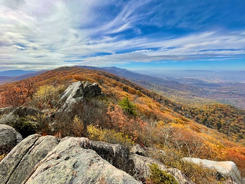 View of the Curtis Valley signpost in the foreground with a background view of the Curtis Valley of the Blue Ridge Mountains with springtime flowers, clouds, and a prominent spruce tree.