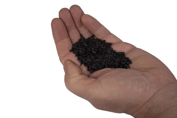 istock a handful of black rice 1435954121