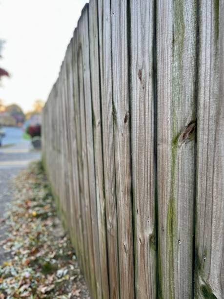 istock Wooden Fence 1435954920