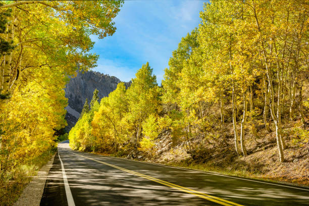 Beautiful fall road trip