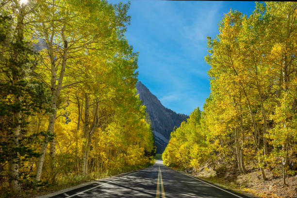 istock Fall road thru the fall colors of Mammoth, CA 1435959896