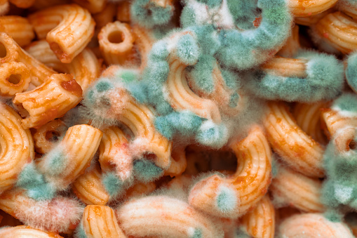 Spoiled pasta, green mold on pasta, close-up