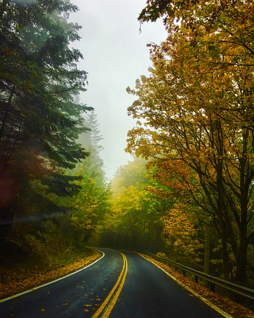 A beautiful fall drive with colorful autumn leaves