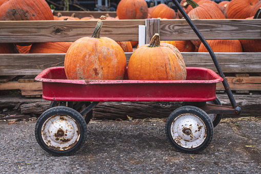 A red wagon sits with 2 big pumpkins at a farmer's market