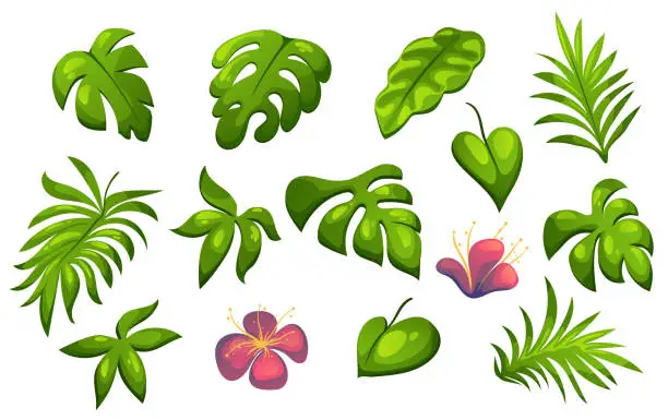 Vector illustration of Jungle flora leaf palm tropic abstract design element concept illustration set