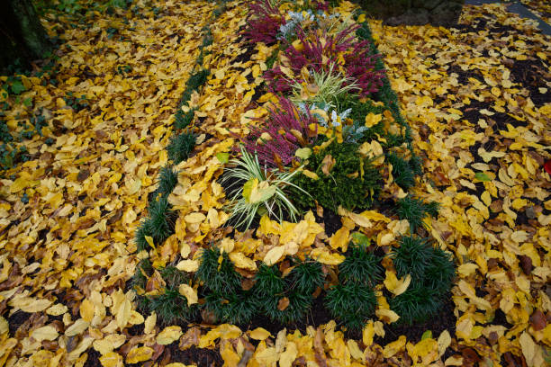 fallen autumn leaves cover flower decoration on a grave