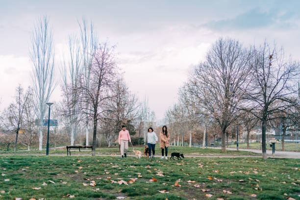 istock a group of friends with their dogs taking a walk 1435982971