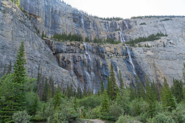 istock The Weeping Wall along the Icefields Parkway in Alberta Canada 1435984181