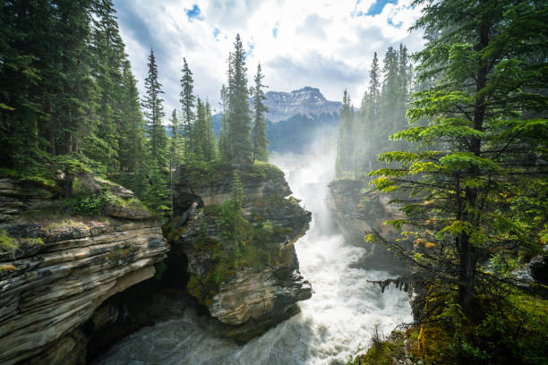 Very misty morning view of Athabasca Falls waterfall in Jasper National Park Canada stock photo