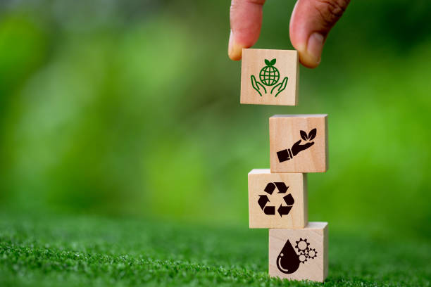 Saving energy and sustainability of renewable energy concept. Eco-efficiency is management of the business sector to be more competitive. Responsibility for natural resources and green environment. stock photo