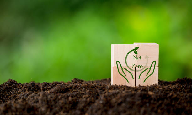 istock Net zero and carbon neutral concept. Net zero greenhouse gas emissions target. Climate neutral long term strategy. Wooden cubes with green net zero icon and green conserve icon on nature background. 1435987373