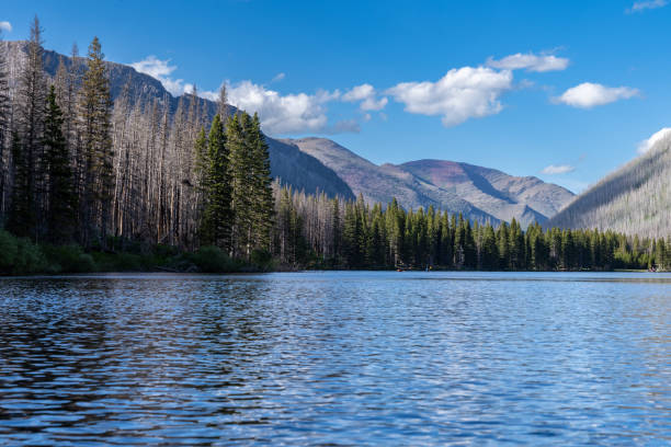 Beautiful Cameron Lake in Waterton Lakes National Park Canada Beautiful Cameron Lake in Waterton Lakes National Park Canada cameron montana stock pictures, royalty-free photos & images