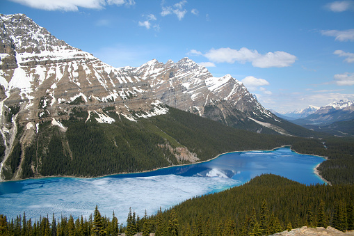 Peyto Lake in the icefields parkway in western Alberta Canada.