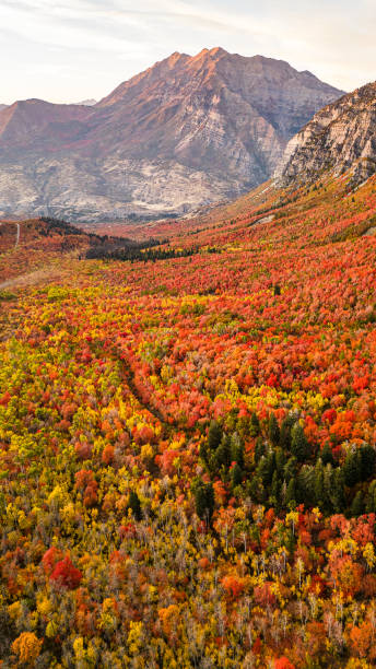 istock Ariel Mountain View with Autumn Colors 1435991291