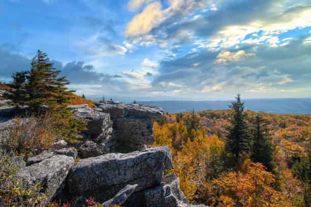 bear rocks - dolly sods wilderness wv en automne - beautiful red pink wood photos et images de collection