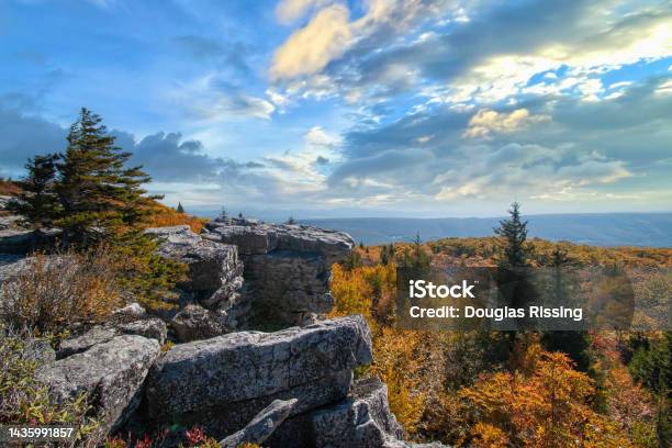 Bear Rocks Dolly Sods Wilderness Wv In Autumn Stock Photo - Download Image Now - West Virginia - US State, Hill, Landscape - Scenery
