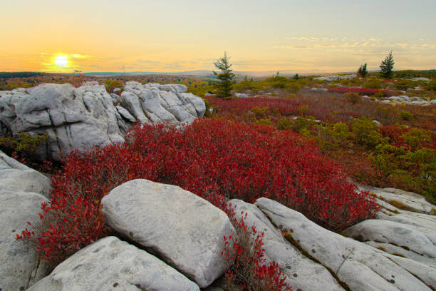 istock Sunset at Dolly Sods Wilderness Autumn 1435991859