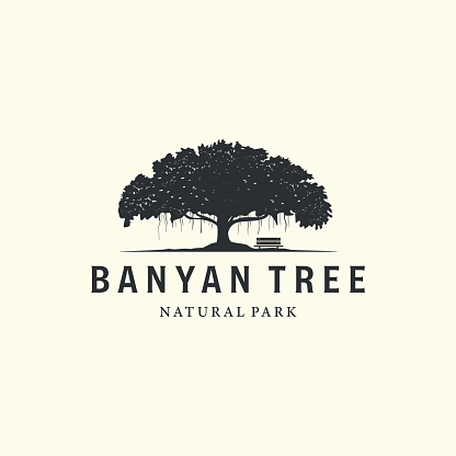 vector of banyan tree with vintage style design illustration, oak tree icon design
