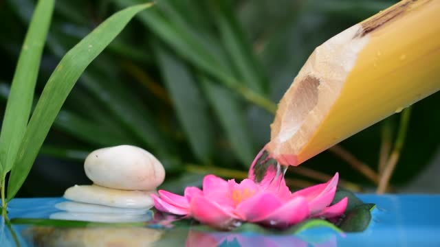 Pink lotus flower flowing trough stone zen spa concept