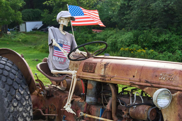 um esqueleto, ao lado de uma bandeira americana, senta-se no banco do motorista de um trator velho enferrujado - animal skull animal bone anatomy animal - fotografias e filmes do acervo