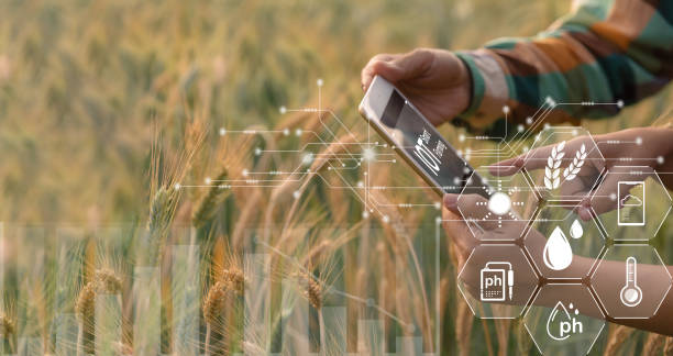 istock Smart farming concept. Farmer with technology digital tablet on background of wheat field. Professional farmers use internet of things (IOT) computers system to manage farms. agriculture modern idea. 1435995064
