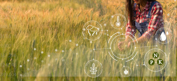 istock Smart farming concept. Farmer with technology digital tablet on background of wheat field. Professional farmers use internet of things (IOT) computers system to manage farms. agriculture modern idea. 1435995126